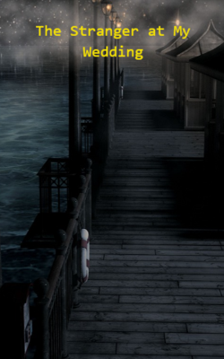 The Stranger at My Wedding