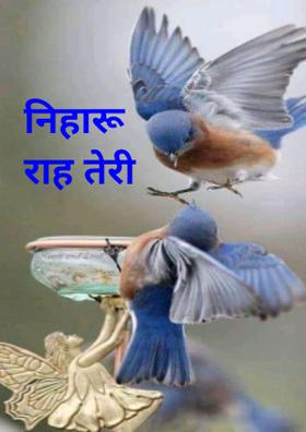 निहारूं राह तेरी