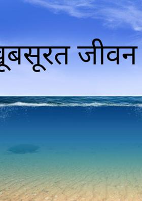 खूबसूरत जीवन