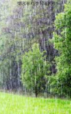 पाऊस गेला विसरून