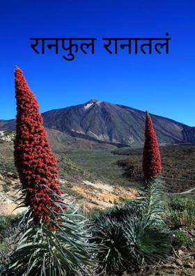 रानफुल रानातलं