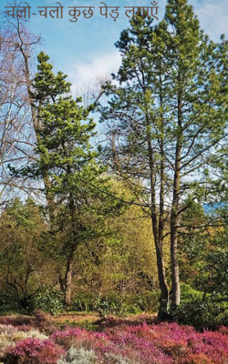 चलो-चलो कुछ पेड़ लगाएँ