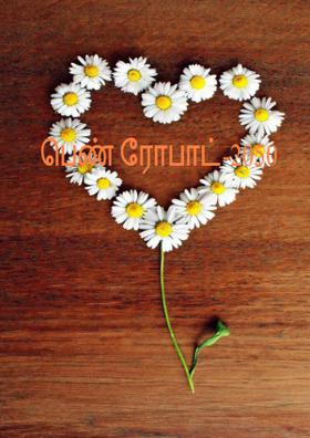 பெண் ரோபாட்-2050