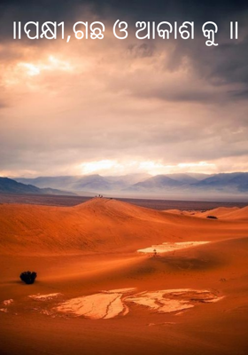 ପକ୍ଷୀ, ଗଛ ଓ ଆକାଶକୁ