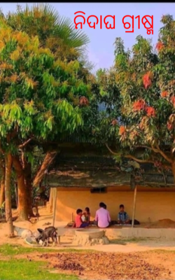 ନିଦାଘ ଗ୍ରୀଷ୍ମ