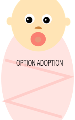 OPTION ADOPTION