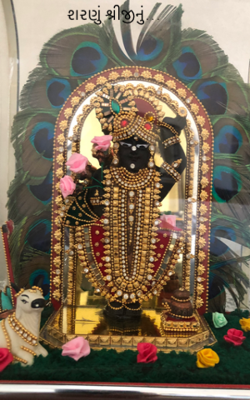 શરણું શ્રીજીનું