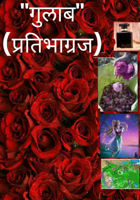 "गुलाब"