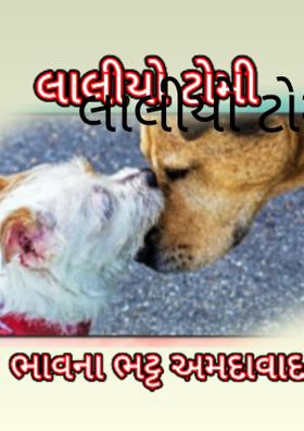 લાલીયો ટોમી