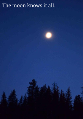 The Moon Knows It All
