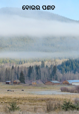 ବୋଉର ପଣତ 