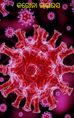 କରୋନା ଭାଇରସ