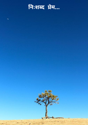 निःशब्द प्रेम...