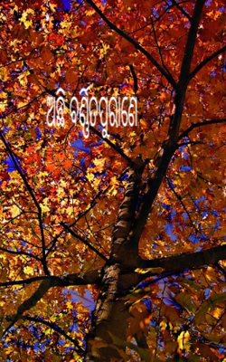 ଅଛି ବର୍ଣ୍ଣିତ ପୁରାଣେ