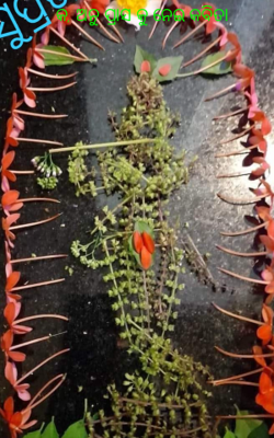 କ, ଅନୁପ୍ରାସକୁ ନେଇ କବିତା