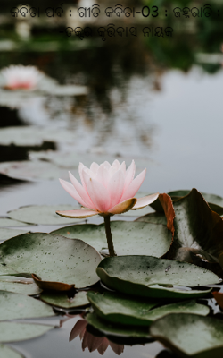 କବିତା ପର୍ବ : ଗୀତି କବିତା-03 : ଜହ୍ନରାତି : -ଡକ୍ଟର କୃତ୍ତିବାସ ନାୟକ