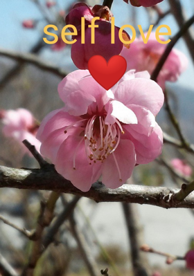 Self Love