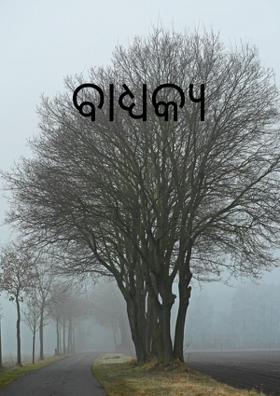 ବାଧ୍ୟକ୍ୟ