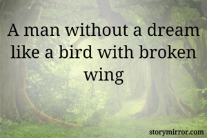 A man without a dream like a bird with broken wing