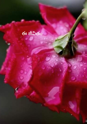 ఈ జీవితం