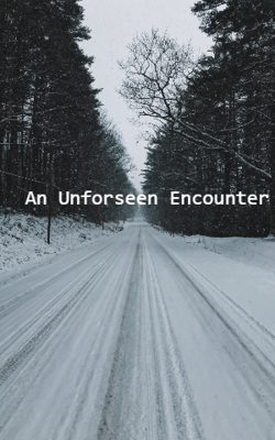 An Unforseen Encounter