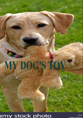 MY DOG'S TOY