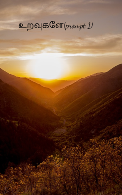 உறவுகளே