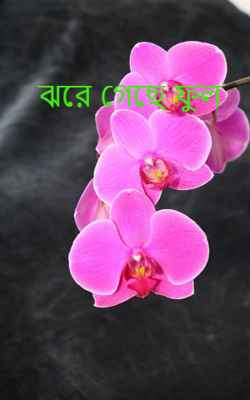 ঝরে গেছে ফুল