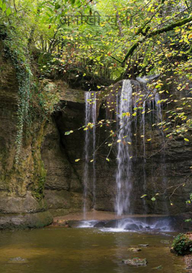 अनोखी खुशी