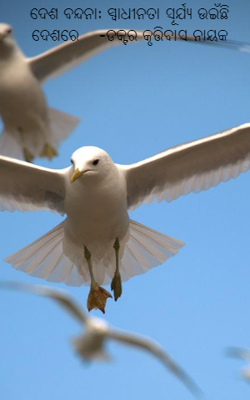 ଦେଶ ବନ୍ଦନା