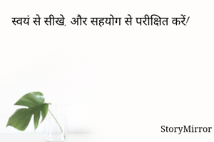 स्वयं से सीखे, और सहयोग से परीक्षित करें! 