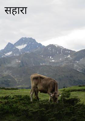 सहारा (संस्मरण)