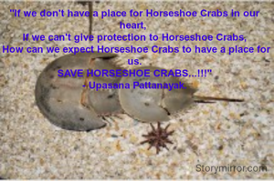 "If we don't have a place for Horseshoe Crabs in our heart, 
If we can't give protection to Horseshoe Crabs,
 How can we expect Horseshoe Crabs to have a place for us.
SAVE HORSESHOE CRABS...!!!"
- Upasana Pattanayak.