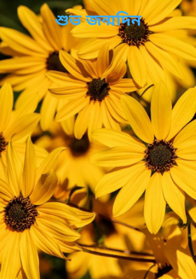 শুভ জন্মদিন