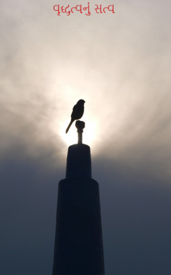 વૃદ્ધત્વનું સત્વ