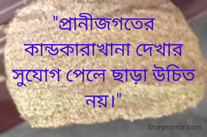 "প্রানীজগতের কান্ডকারাখানা দেখার সুযোগ পেলে ছাড়া উচিত নয়।"
