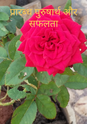 प्रारब्ध पुरुषार्थ और सफलता