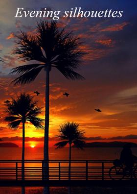 Evening Silhouettes