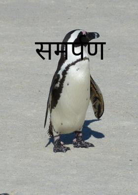 समर्पण