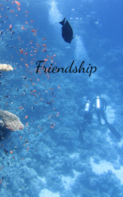 Friendship