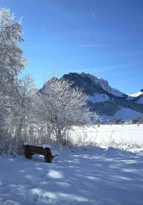 शाश्वत नश्वर