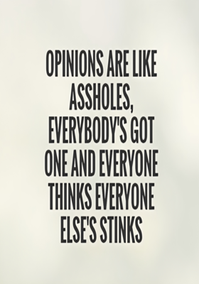 Opinions Are Like Assholes Everyone Has One