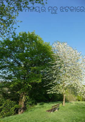 ମନ୍ଦମଳୟର ମୃଦୁ ଝଟକାରେ