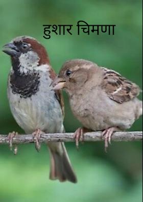 हुशार चिमणा