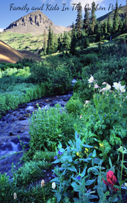 Family and Kids In The Cubbon Park
