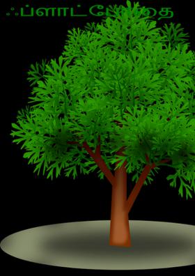 ஃப்ளாட்போதை