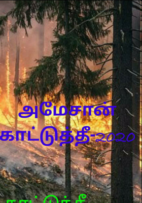 அமேசான் காட்டுத்தீ-2020