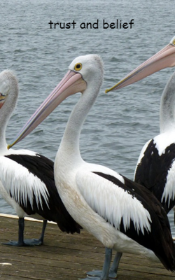 டிரஸ்ட் அண்ட் பிலீப்