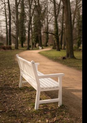 জানলার পাশের সিটের মেয়েটা..