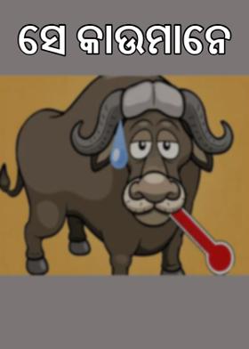 ସେ କାଉମାନେ